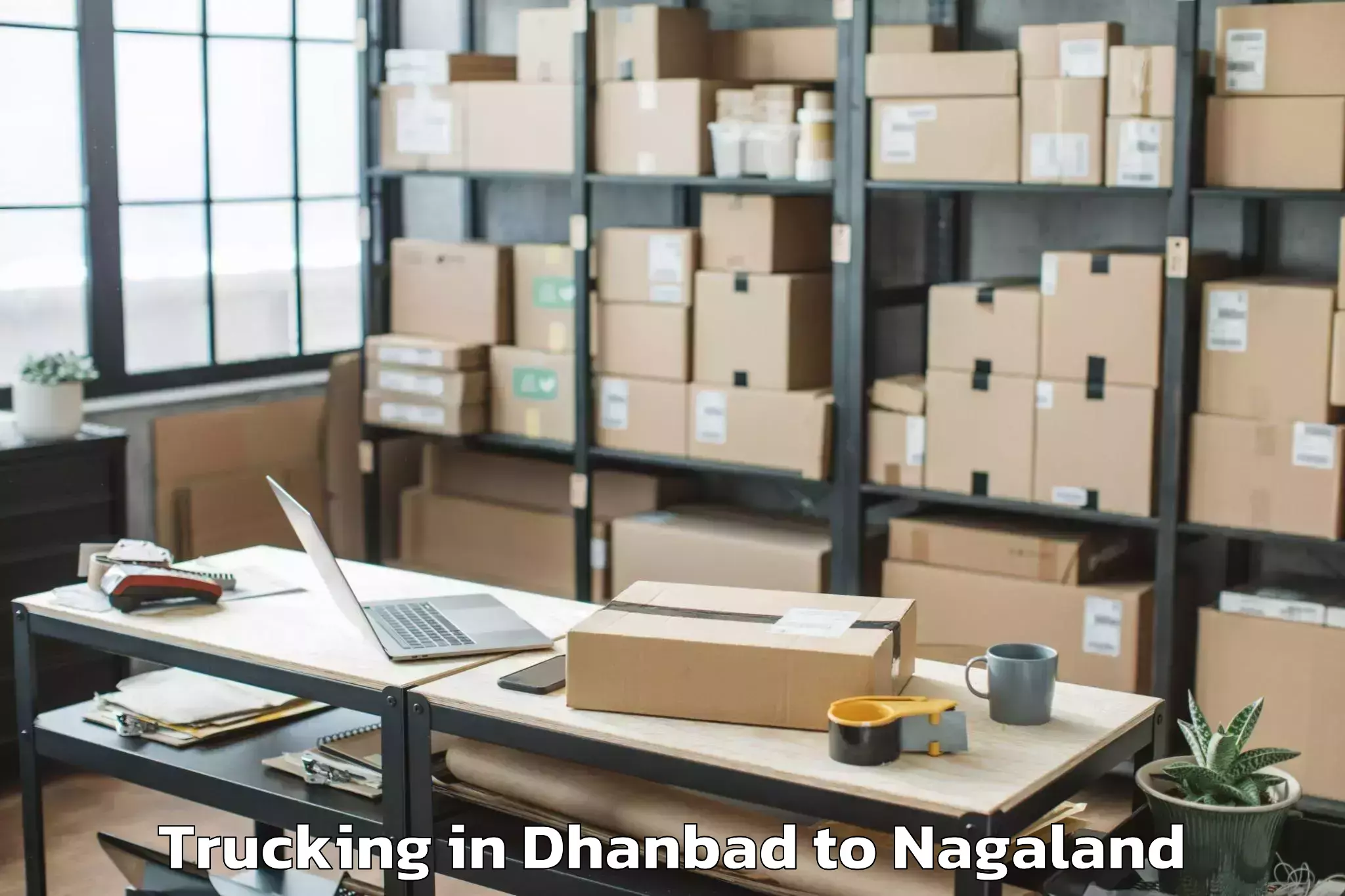 Book Dhanbad to Chumukedima Trucking Online